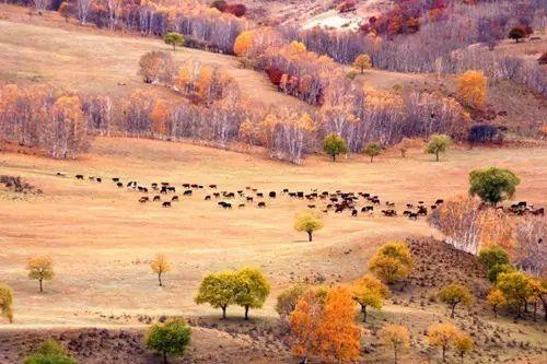 9月适合旅游的地方,10月份最适合去哪里旅游？