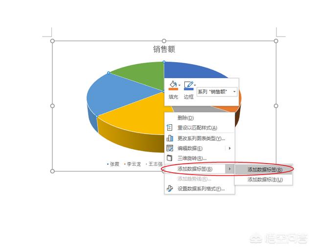 word文档怎么做,如何用Word制作饼状图？