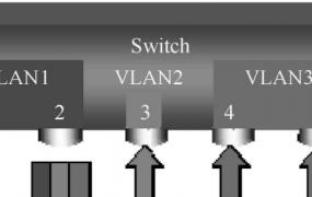 pvid和vlan id的区别