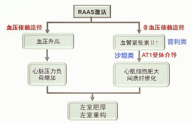 高血压预防,高血压的三级预防是什么？