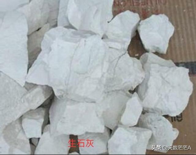 生石灰的主要成分,没有水的池塘干撒石灰有作用吗？