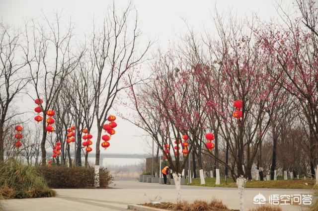 元宵节的风俗有哪些,洛阳的元宵节有哪些风俗习惯？