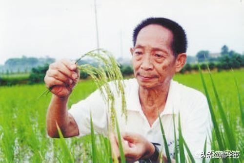 中国所有的节日,中国分别有什么特别的节日？