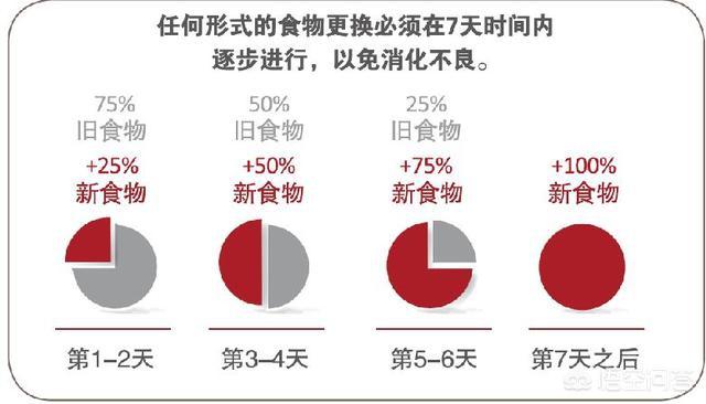 比熊犬吃什么,比熊母狗吃什么狗粮去泪痕？