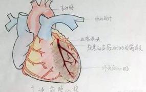 心梗,心梗病人日常生活应当注意哪些？