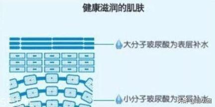 真皮层分为哪几层作用,皮肤分为哪几层，都有哪些作用？