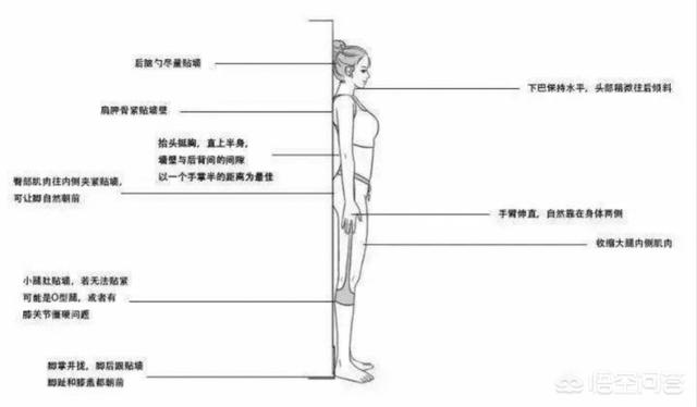 纠正骨盆前倾最佳方法,骨盆前倾能靠墙站纠正吗？