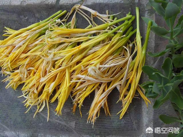 野菜图片大全及名字,有哪些口味比较好的野菜？