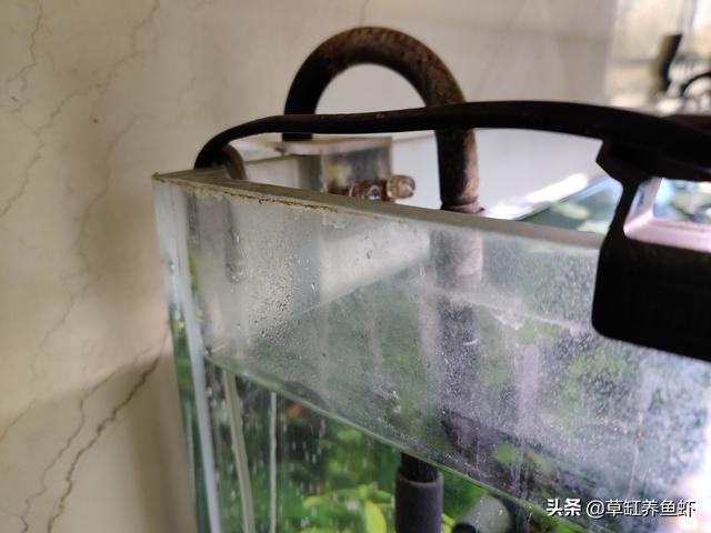 水垢清洗,怎样清除鱼缸内壁上的水垢？