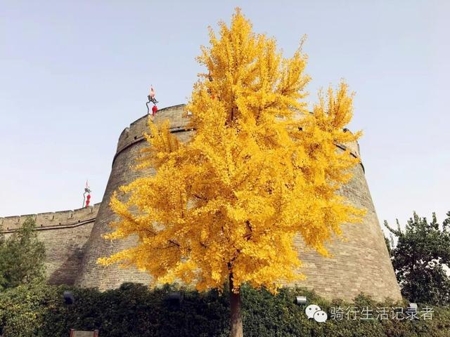 西安大明宫值得去吗,西安市区有哪些值得一去的公园？