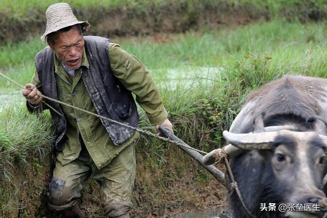 70周年的画,年龄到70岁，怎么养生？