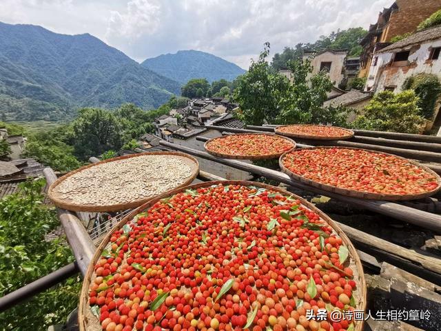 婺源在哪,婺源是一个什么样的地方？