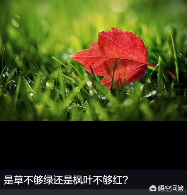 正确的人生态度是,我们应该有什么样的人生态度？