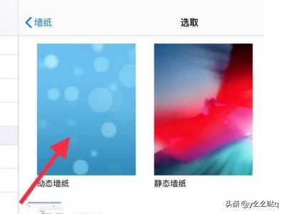 ipad怎么换壁纸,怎样给iPad更换漂亮的壁纸？