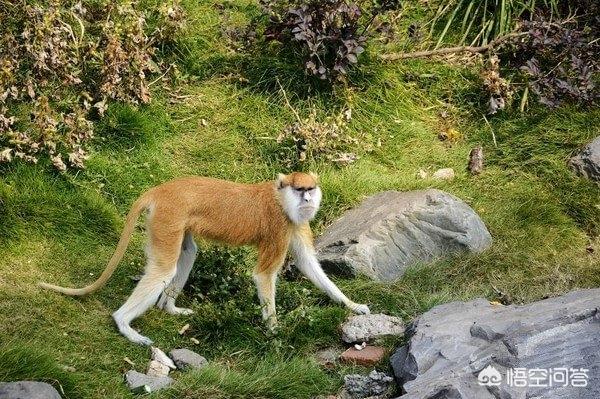 周末带孩子去哪里玩比较好,长沙周末带孩子去哪旅游合适？