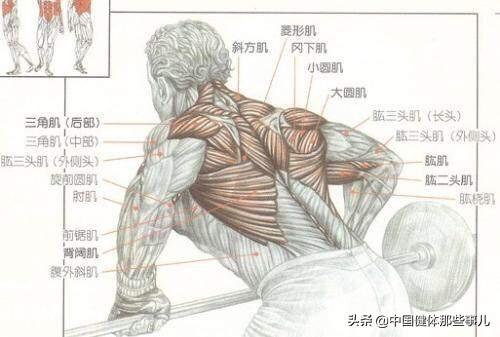 正确的腰背肌锻炼方法,如何进行正确的腰背肌锻炼？