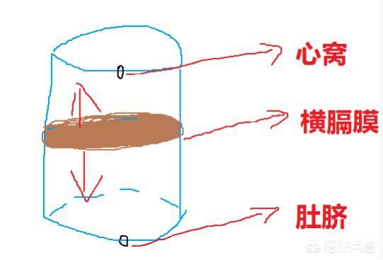 怎么唱颤音,怎样可以练好唱歌的颤音？