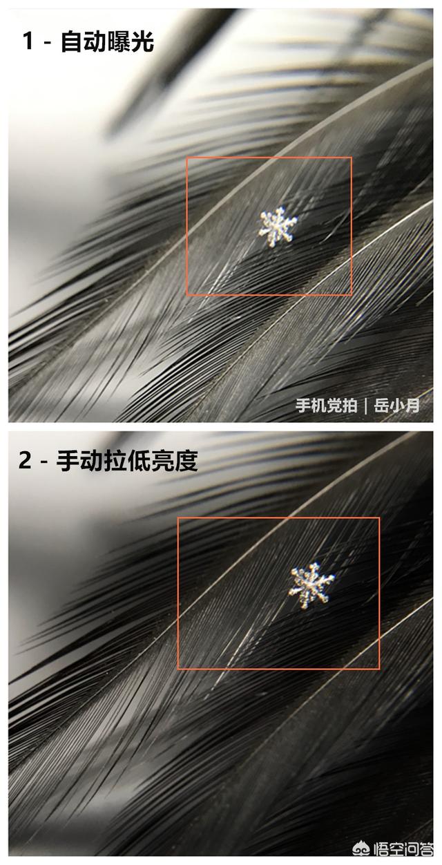 手机摄像头拍照模糊怎么办,手机摄像头照相模糊，怎么办？