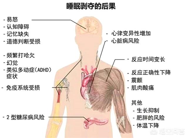 做你的男人24个小时不睡觉,一整晚不睡觉是什么感觉？