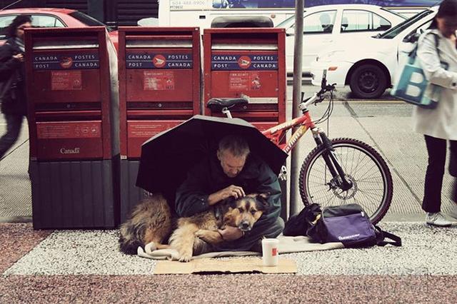 猫来富还是狗来富,为什么说：猫来穷狗来富？