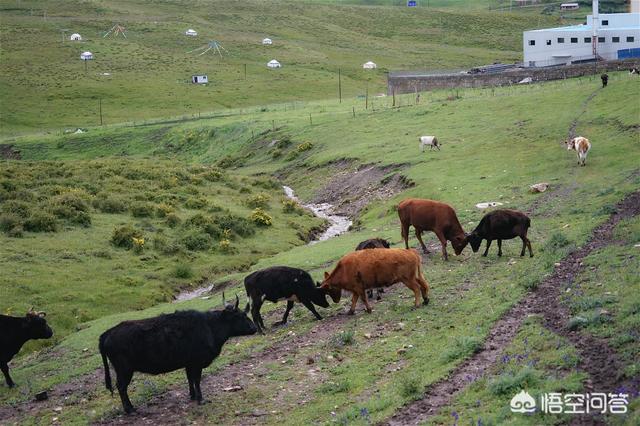 秋季旅游景点大全,宁波秋天有哪些景点值得推荐？