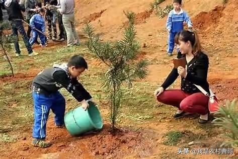 植树意义,为什么我们要在春雨后栽树？