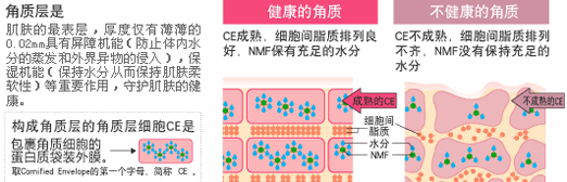 脸上死皮怎么去除,脸上经常有死皮怎么处理？