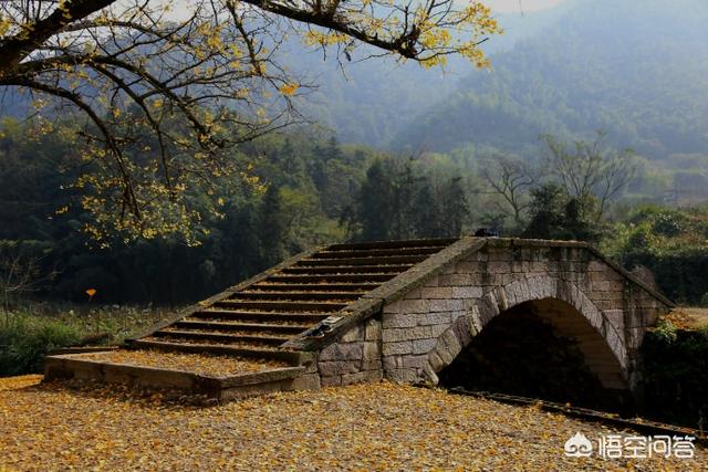 11月份去哪旅游好,11-12月份去哪旅游比较好？