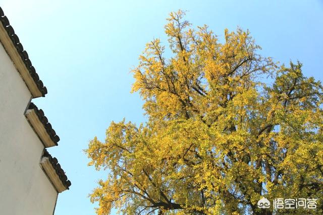 11月份去哪旅游好,11-12月份去哪旅游比较好？