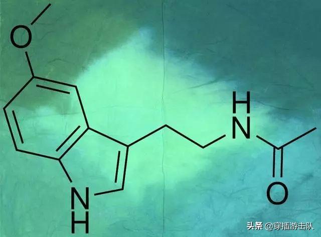 睡觉会长胖吗,睡不好会变胖？是真的吗？