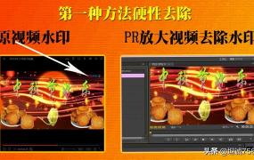 怎样去除视频水印,视频中的水印都是用什么去除的？