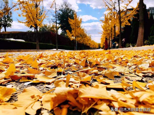 十月份去哪里旅游好,10月份，哪里适合旅游度假？