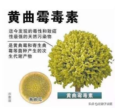 葵花籽的功效,葵花籽仁的功效与作用是什么？