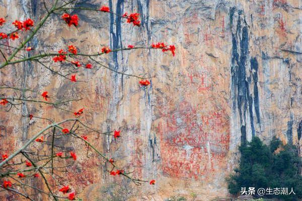 崇左旅游,如何发展崇左市的旅游业？