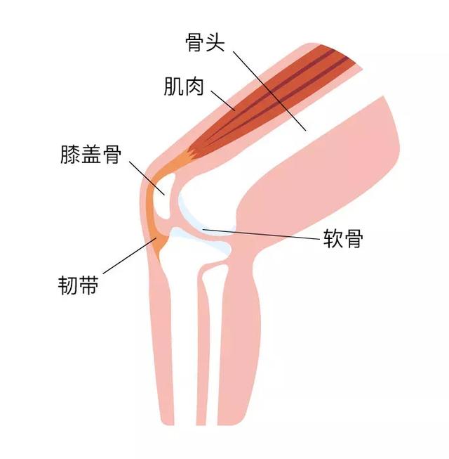 康复膝盖的10种训练,提高膝关节强度怎么练腿？