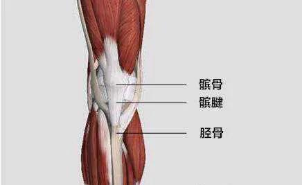 康复膝盖的10种训练,提高膝关节强度怎么练腿？