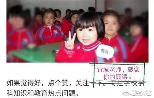 如何提高小学生的成绩,农村小学教育质量如何提升？