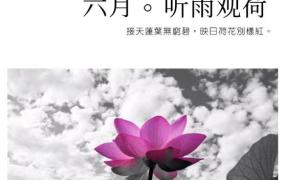 给图片加文字的软件,怎么给图片留白并添加上文字？