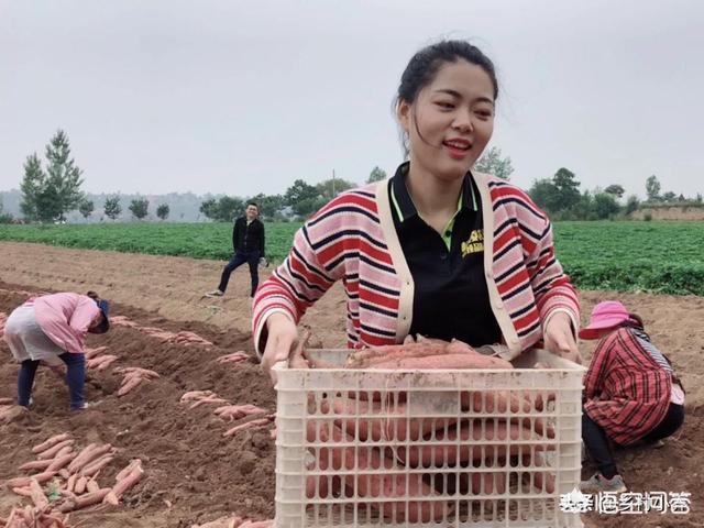 女孩礼物,女朋友生日送什么礼物最有意义？