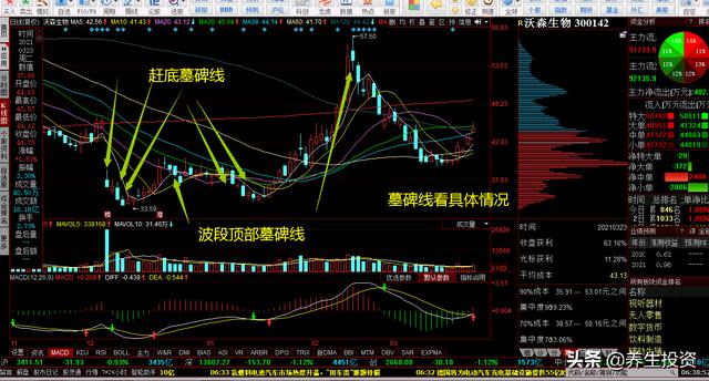 木易是什么意思,股市中的“墓碑线”是什么意思？