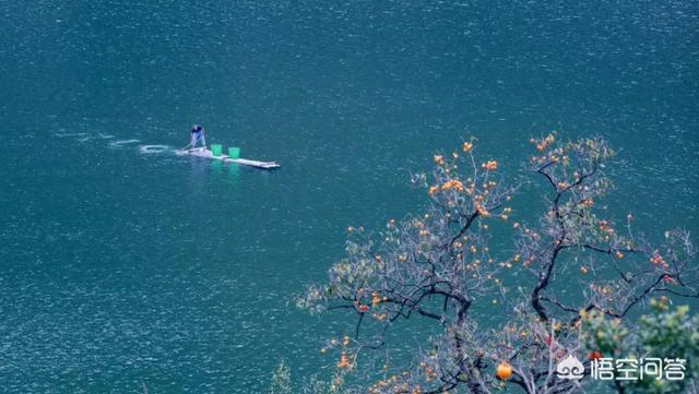 浙江有什么好玩的地方旅游景点,浙江旅游哪里最具有特色？