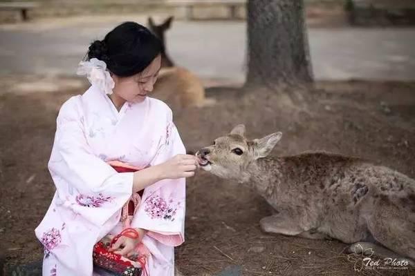 日本旅游线路,日本有哪些好玩又便宜的地方？