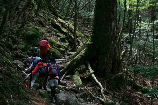 日本旅游线路,日本自由行有哪些景点推荐？