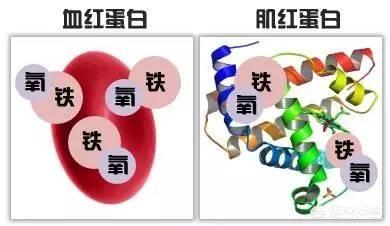 有什么作用,玻尿酸的作用和功效有哪些？