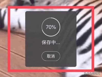 微博下载,如何下载新浪微博里的视频？