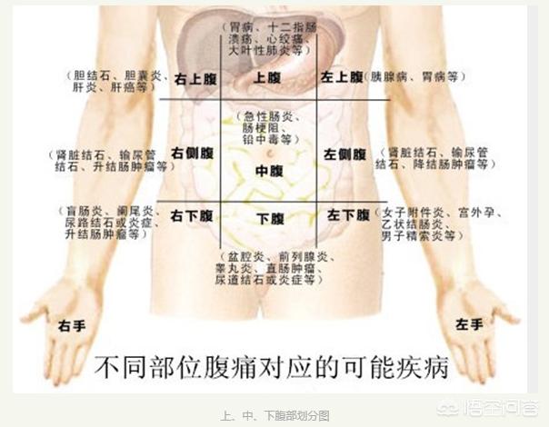 腹部九分法,怎样区分清楚胃痛还是胆痛呢？