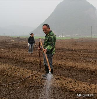 冬至要注意什么,冬至前后需要注意哪些农田工作？