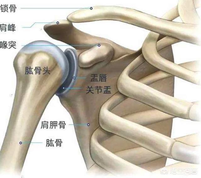 练肩动作,暴力上杠怎样练才不伤肩膀？