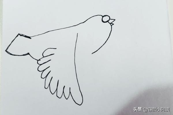 怎么画鸟,怎么画一只在空中飞翔的小鸟？