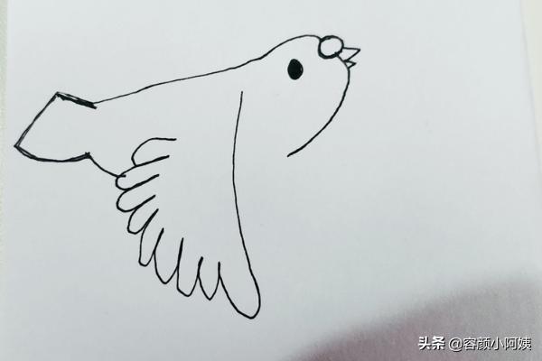 怎么画鸟,怎么画一只在空中飞翔的小鸟？